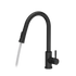 Quadron Julia pull down tap with spray function, Matte Black