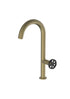 Forte Brass/Gold Mix & Match, kitchen mixer tap - Olif